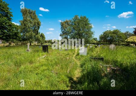 Überwachsener Dorfkirchenkirchfriedhof Stockfoto