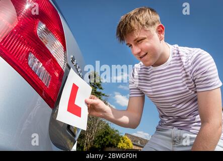 Teenager-Lernfahrer Hinzufügen L Platten zu seinen Eltern Auto bereit für eine Lektion. Stockfoto