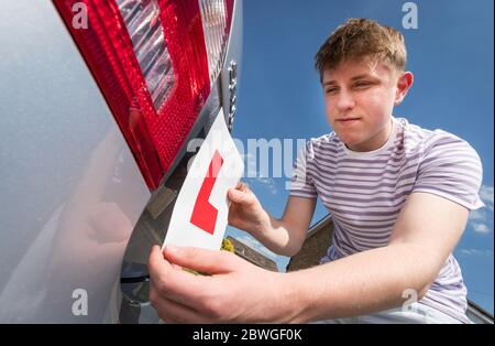 Teenager-Lernfahrer Hinzufügen L Platten zu seinen Eltern Auto bereit für eine Lektion. Stockfoto