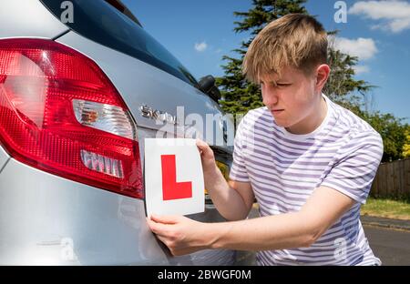 Teenager-Lernfahrer Hinzufügen L Platten zu seinen Eltern Auto bereit für eine Lektion. Stockfoto