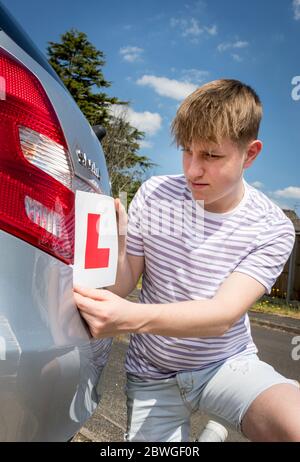 Teenager-Lernfahrer Hinzufügen L Platten zu seinen Eltern Auto bereit für eine Lektion. Stockfoto