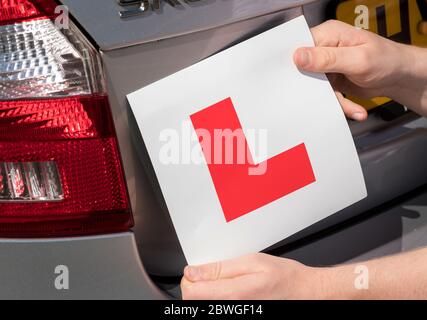 Nahaufnahme von Teenager-Lernfahrer Hinzufügen L Platte zu seinem Eltern Auto Stockfoto