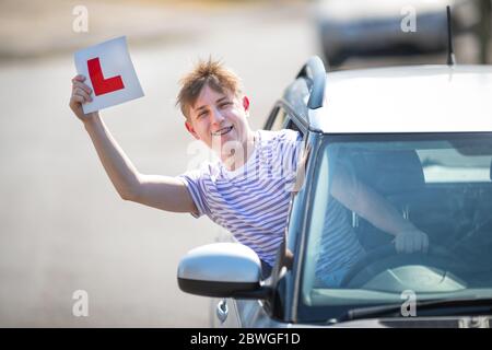 Teenager-Lernfahrer feiert Bestehen seiner Fahrprüfung winken seine L-Platten in der Luft. Stockfoto