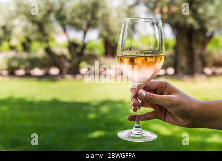 Junge Frau, die ein Glas Roséwein vor dem Hintergrund des Weinbergs hält. Stockfoto