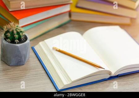 Nahaufnahme des offenen Buches mit Stift und Kaktus Stockfoto