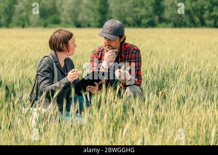 Hypothek Darlehen Officer Unterstützung Landwirt in finanziellen Zuschuss Antragsprozess, Bankier und Landarbeiter in Weizenfeld. Stockfoto