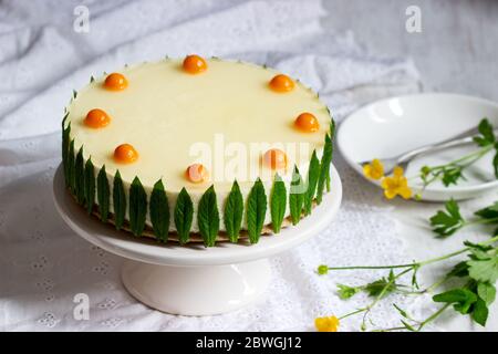 Mousse Kuchen mit Sahne, Kondensmilch und Limettensaft, garniert mit Gelee und Physalis, serviert mit Limoncello. Stockfoto