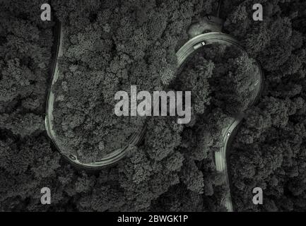 Wunderbare Wald in schwarz und weiß mit einer kurvigen Straße und Autos aus der Dron-Ansicht geschossen, Antenne einer Kurve Hintergrund, die Spaß impliziert Stockfoto