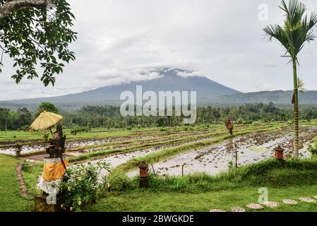 Landschaft mit Reisfeldern und Vulkan Agung bei bewölktem Tag. Indonesien, Bali Stockfoto