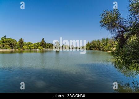 See am San Martin Park in Mendoza, Argentinien. Stockfoto