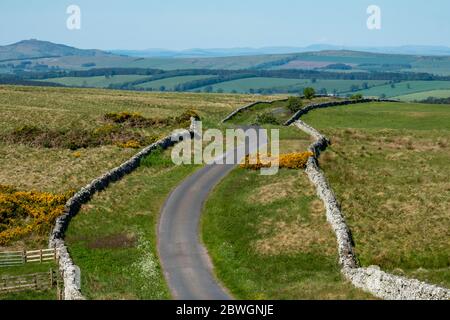 Dere Street, Roman Road Blick nach Norden auf Whitton Edge in der Nähe von Jedburgh, Scottish Borders, Großbritannien Stockfoto