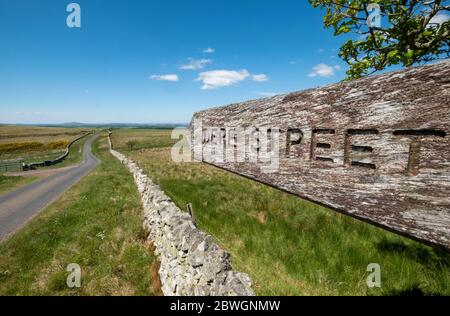 Dere Street, Roman Road Blick nach Norden auf Whitton Edge in der Nähe von Jedburgh, Scottish Borders, Großbritannien Stockfoto