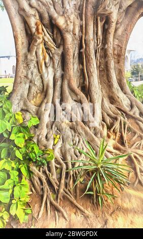 Heilige Feige, Bodhi-Baum, Ficus religiosa Bunte Malerei, Delhi, Indien Stockfoto