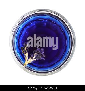 Bio Blautee Anchan, Clitoria, Schmetterlingserbse aus Glas isoliert auf weißem Hintergrund, Draufsicht Stockfoto