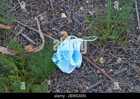 Chirurgische Gesichtsmaske als Müll in der Natur. Schlechte Gewohnheiten während der Pandemie Zeiten Stockfoto