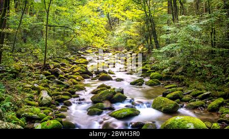 Der Wasserfluss fließt entlang des Roaring Fork Motor Nature Trail im Great Smoky Mountain National Park Stockfoto