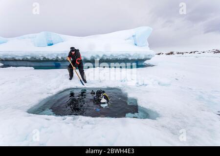 Die Säge verwenden, um das Eis zu schneiden und den Eintritt zu machen, um unter dem Eis zu tauchen. Auf der Rückseite taucht die Spitze des Eisbergs aus der gefrorenen Meeresoberfläche auf, sie bewegt sich Stockfoto