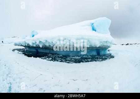 Die Spitze des Eisbergs tritt aus der gefrorenen Meeresoberfläche hervor, bewegt sich je nach Gezeiten auf und ab und hält das Wasser frei um ihn herum. Tasiilaq, Gr Stockfoto