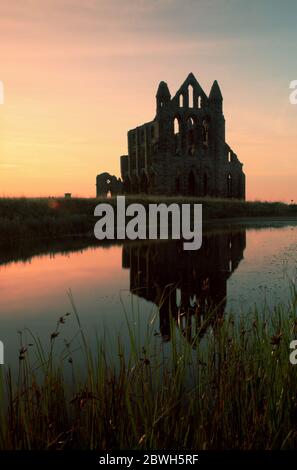 Whitby Abbey Stockfoto