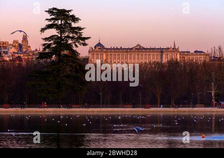 Vista del Palacio Real desde el lago de la Casa de Campo. Madrid. España Stockfoto