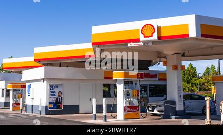 24. Mai 2020 Cupertino / CA / USA - Shell Tankstelle in San Francisco Bay Area; Royal Dutch Shell PLC, allgemein bekannt als Shell, ist ein britisch-amerikanischer Stockfoto