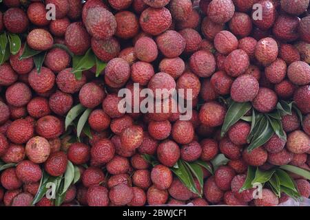 Lychee Früchte Stockfoto