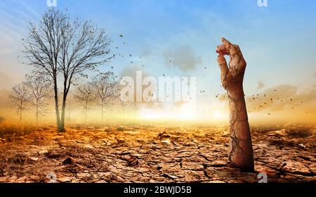 Die trockene, rissige Hand tauchte auf dem trockenen Boden auf totem Baumhintergrund auf.Konzept der globalen Erwärmung. Stockfoto