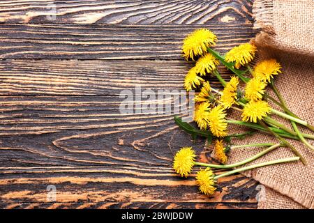 Schöner Löwenzahn auf Holzhintergrund Stockfoto