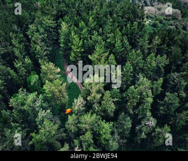 Luftaufnahme des orangen Zeltes am Wald in den Bergen. Foto mit Drone aufgenommen Stockfoto