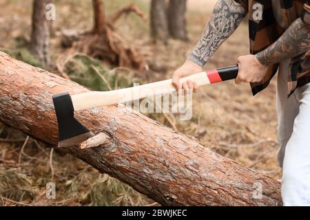 Schöner Holzfäller, der Bäume im Wald abschneidet Stockfoto