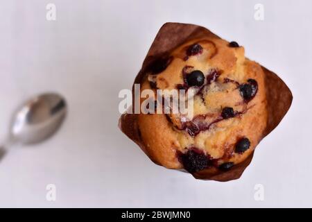 Frisch gebackene köstliche hausgemachte süße Heidelbeer Muffin auf einem Tisch / Nahaufnahme Stillleben Food Fotografie Stockfoto