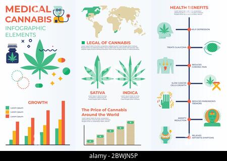 Infografik für medizinisches Cannabis mit Illustrationen und Symbolen für Datenberichte und Informationspräsentationen Stock Vektor