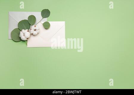 Schöne Baumwollblumen, Umschläge und Eukalyptusblätter auf farbigem Hintergrund Stockfoto