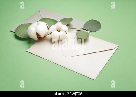 Schöne Baumwollblumen, Umschläge und Eukalyptusblätter auf farbigem Hintergrund Stockfoto