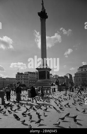 1995 Straßenszene am Trafalgar Square, im Zentrum von London, im Südosten Englands, Großbritannien Stockfoto