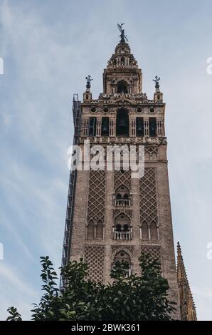 Sevilla, Spanien - 17. Januar 2020: Niedrige Ansicht der Giralda, des Glockenturms der Kathedrale von Sevilla in Sevilla. Der Turm ist einer der wichtigsten Stockfoto