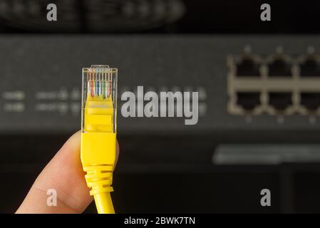 Netzwerk-Switch und ethernet-Kabel im Rack-Schrank. Die Netzwerkanschlusstechnik wird durch cat6- und cat5-Kabel geführt. Netzwerk-Switch und -Kabel. Stockfoto