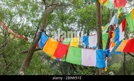 Buddhistische Gebetsfahnen in den Hügeln des Tempelparks Nanputuo. Gebetsfahnen in leuchtenden Farben, die im Wind wehen. Panoramafarma. Stockfoto