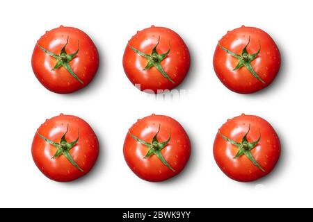 Frische nasse Tomaten auf weiß isoliert. Stockfoto