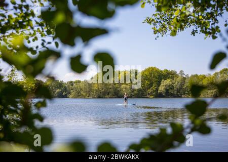 Hamburg, Deutschland. Juni 2020. Hamburg 2020, Fotografie, Fotografie, Boberger See, Individualsport SUP Stand Up Paddeln Quelle: dpa/Alamy Live News Stockfoto