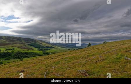 Blick hinunter das Tal von Glen Clova vom Hügel zwischen Glen Moy auf einem Ort der Old Tree Fällarbeiten, mit bedrohlichen Gewitterwolken über Stockfoto