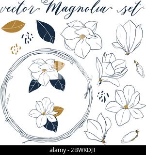 Vektor Magnolien Set. Handgezeichnete botanische Elemente im Stil der Linienkunst. Magnolienblüten, Blätter, Knospen und Kranz auf weißem Hintergrund isoliert. Stock Vektor