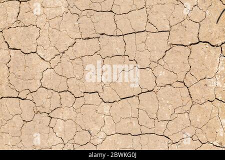 Draufsicht auf trockenem Boden mit Rissen. Risse in der Masse. Symbol für Klimawandel, globale Erwärmung, Trockenheit, Dürre oder Ödland. Stockfoto