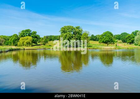 Ein Teich im Hampstead Heath Park im Nordwesten Londons. GROSSBRITANNIEN Stockfoto