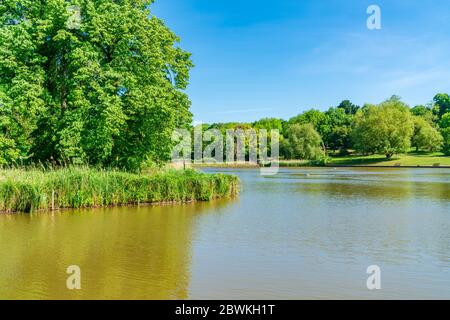 Ein Teich im Hampstead Heath Park im Nordwesten Londons. GROSSBRITANNIEN Stockfoto