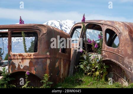 Verwackelt Autos in 'Crash Palace', Horopito, North Island, Neuseeland. Mount Ruapehu, Tongariro National Park. Stockfoto