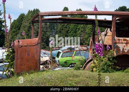 Verwackelt Autos in 'Crash Palace', Horopito, North Island, Neuseeland Stockfoto