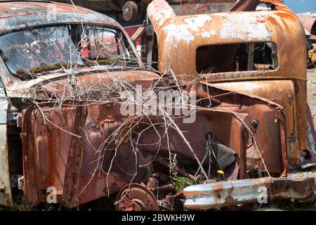 Verwackelt Autos in 'Crash Palace', Horopito, North Island, Neuseeland Stockfoto