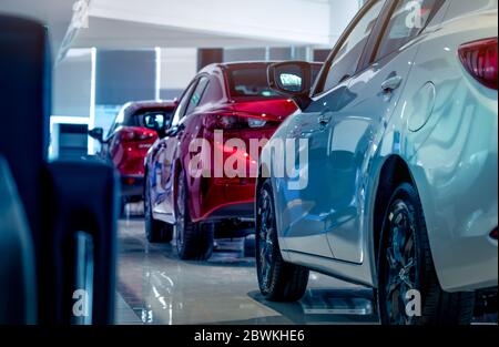 Rückansicht des neuen Luxus-rot-weißen Autos, das in einem modernen Showroom geparkt ist. Selektiver Fokus auf weiß glänzendes Auto. Konzept des Autohauses. Ausstellungsraum. Stockfoto