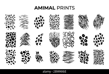 Schwarz und Weiß Tiger druckt Muster, Safari Tiere Haut von Großkatzen. Leopard, jaguar und Zebra, Vektor-Textur Dekorationselemente. Safari Tiere Muster, Panther Geparden und Giraffen Stock Vektor